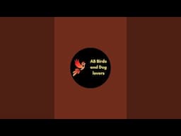 AB Birds and Dog lovers is live