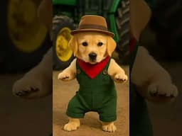 Farmer Puppy Baz Dances Like a Pro - Cute Dog Shows Off Dance Moves PART 2