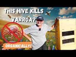 This Beehive Might Kill Varroa! First Look at Europe’s Organic Solution