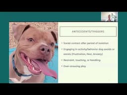 Behavior Plans to Reduce Hyperarousal in Shelter Dogs: The Impact of Setup and Choice  - MMBC 032725