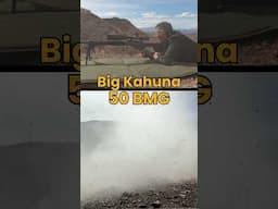 50 BMG And Elephant Gun vs Milk Jugs