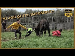 MEJOR QUITE IMPOSIBLE!! Tienta privada (15-3-25)