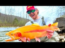 Float Fishing Remote Appalachian Streams for RARE Trout!