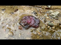 Bãi Đồi Tiền Tỉ An Phú Spinel #spinel #gem
