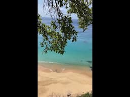 BRAZIL'S Most EXCLUSIVE ISLAND: Fernando de Noronha