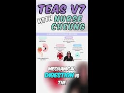 ATI TEAS V7 Mechanical Digestion and Saliva