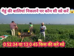 ਅੱਜ ਕਨਕ ਨੂੰ ਸਪਰੇ ਕਰਵਾਇ / Aaj 327 or 372 nu spray karvayi