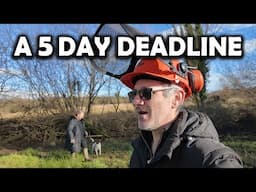 Racing Against Mother Nature With Only 5 Days Left | Our One Acre Homestead In Ireland