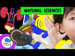 🔴 LIVE | ALL About Natural Sciences! The Human Body, Amazing Animals, Fun Facts | Educational Videos