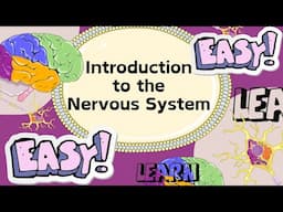 Live Lesson: EASY introduction to the Nervous System