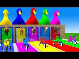 Long Slide Game With Elephant Gorilla Buffalo Hippopotamus Tiger - 3d Animal Game - Funny 3d Animals