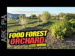 🌱Orchard Design - Low Maintenance, Syntropic Food Forest, Permaculture - Spring Tour in SK, Canada