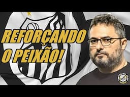 REFORÇOS: O QUE O SANTOS PRECISA NA JANELA DE TRANSFERÊNCIA?