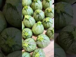 New farmers' market opens in San Frediano