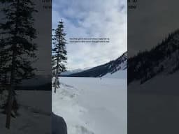 take me back!! ❄️🧊 #shortsvideo #shorts #travel #travelvlog #lakelouise #banff #banffcanada #reels