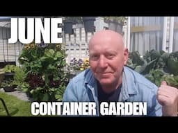 June Vegetable Container  Garden [Container Gardening ]