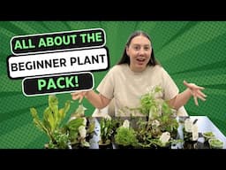 Beginner Plant Pack!