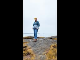 5 Reasons We Love Windbreakers