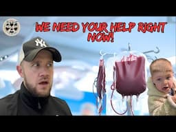 WE NEED YOUR HELP RIGHT NOW!!!