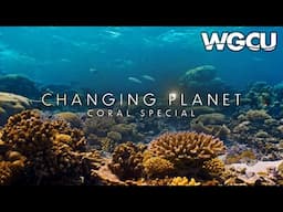 April 2025 | New This Month | PBS Passport