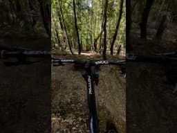 Good times in Santa Cruz @orbea @norrona