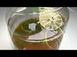 Homemade Keto Campari Recipe! You Won't Believe It's Low-Carb!