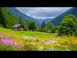 Stress Healing Music 🌿 Soothing Music, Soft Nature Sounds, Sleep Music