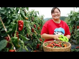 【陕北霞姐】家常发面饼子，霞姐一次烙七张，配上独家辣子菜，卷起来吃的更香！
