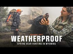 Wyoming Spring Bear Hunting - FIRST Animal Taken With the NEW Alpine ST
