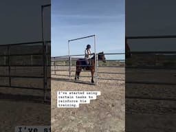 A Look at the Training Process