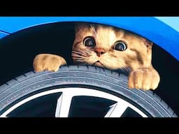 Animated Little Kitten friends Adventure - Preschool and kindergarten learning Cartoon