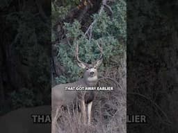 Today I Took 2 Veterans Hunting! #hunting #veterans #deer