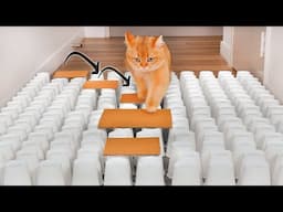 Can Cats Do Parkour? | Compilation