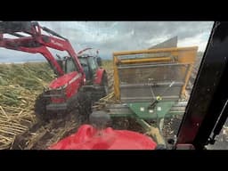 Dads Back Let’s Chop Maize