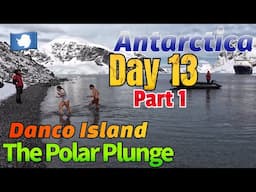 The Polar Plunge at Danco Island | Antarctica 2025 Expedition Day: 13