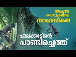 'റിസ്‌ക്കാണ്, കാണുമ്പോള്‍ തന്നെ പേടിയാകും'; അത്ര സിംപിളല്ല പാണ്ടിച്ചെത്ത്, കള്ള് വരുന്ന കഥയറിയാം