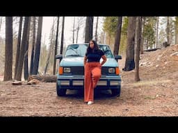 van camping in a dark and scary forest *plus a special guest