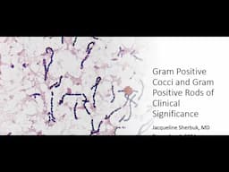 Gram Positive Cocci and Gram Positive Rods of Clinical Significance -- Jackie Sherbuk, MD