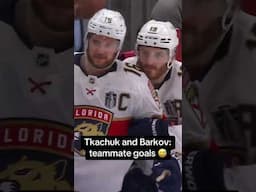 Teammate goals 😂😂 (via @flapanthers/TT)