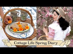 Calming Cottage Life Spring Diary🌷Vintage Decor, Recipes, Cottagecore Compilation
