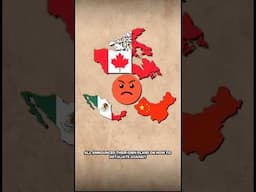 The Trump Trade War & Tariffs Explained #china #canada #mexico
