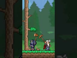 I Played 1.4.5 with Terraria’s Creator