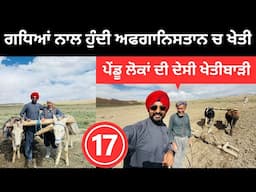 ਗਧਿਆਂ ਨਾਲ ਖੇਤੀ ਕਰਦੇ ਅਫਗਾਨਿਸਤਾਨ ਦੇ ਲੋਕ Old Village life | Punjabi Travel Couple Afghanistan