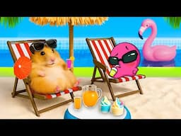Double Hamster Fun! Build a Waterpark AND a Tiny Car! 🐹🎢