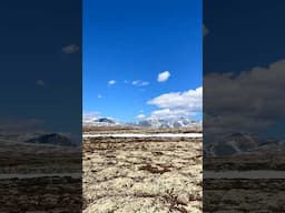 Rondane: Norway’s Oldest National Park Like You’ve Never Seen It ❄️🏔️