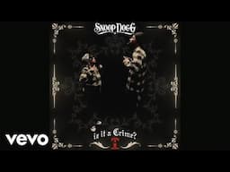 Snoop Dogg - Intro (Visualizer)