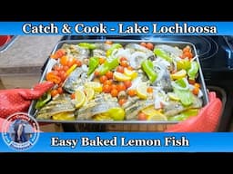 Easy Baked Lemon Fish - Our Family Loves It!!