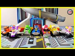What’s Inside the Mystery Pup Squad Box?  Learn Colors & Numbers with Paw Patrol!