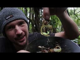 Eating worms for survival - Alone Australia season 3, episode 1 - 5 recap