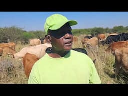 WATCH | Regenerative farming series – Episode 1